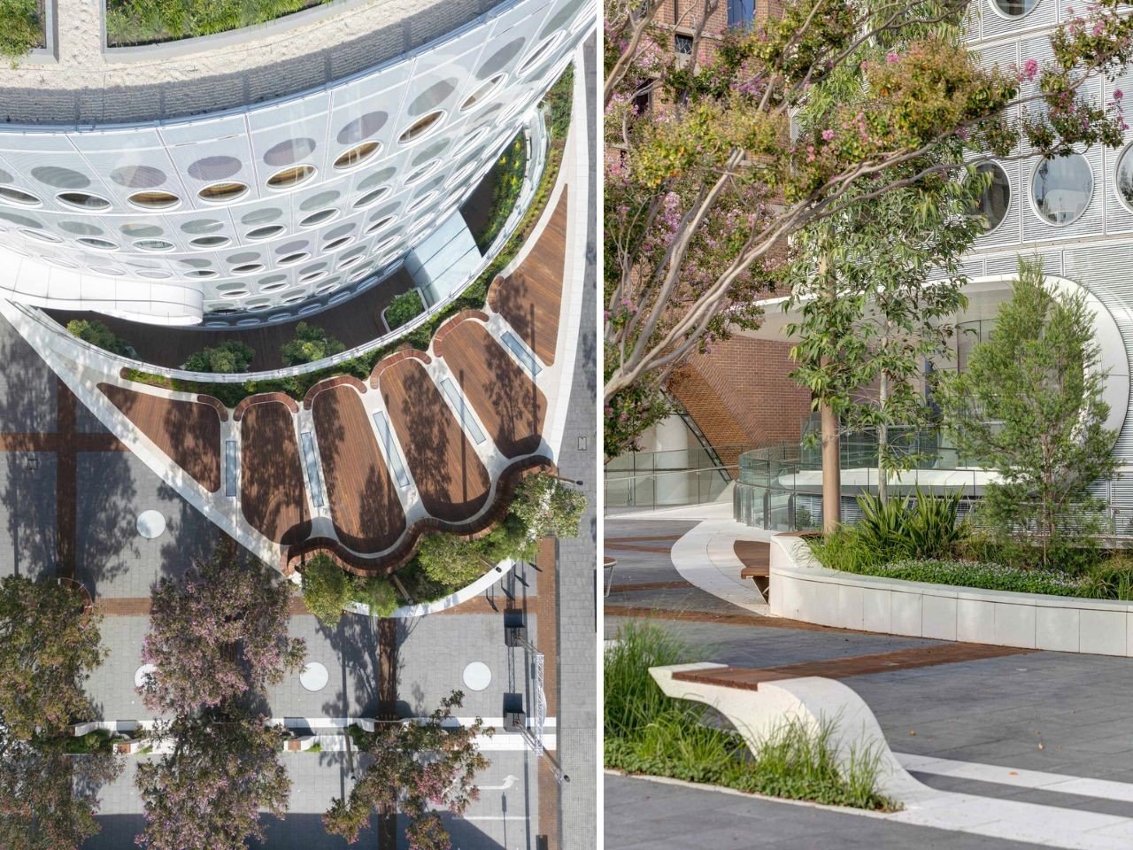 1747785074 838 Decouvrez la Bibliotheque de Sydney Un Espaces Public Reinvente - plare.