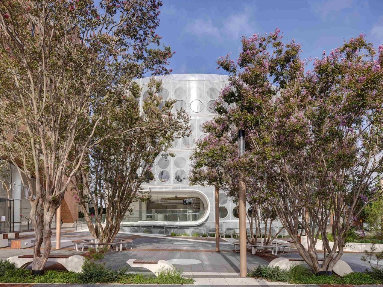 1747785075 710 Decouvrez la Bibliotheque de Sydney Un Espaces Public Reinvente - plare.
