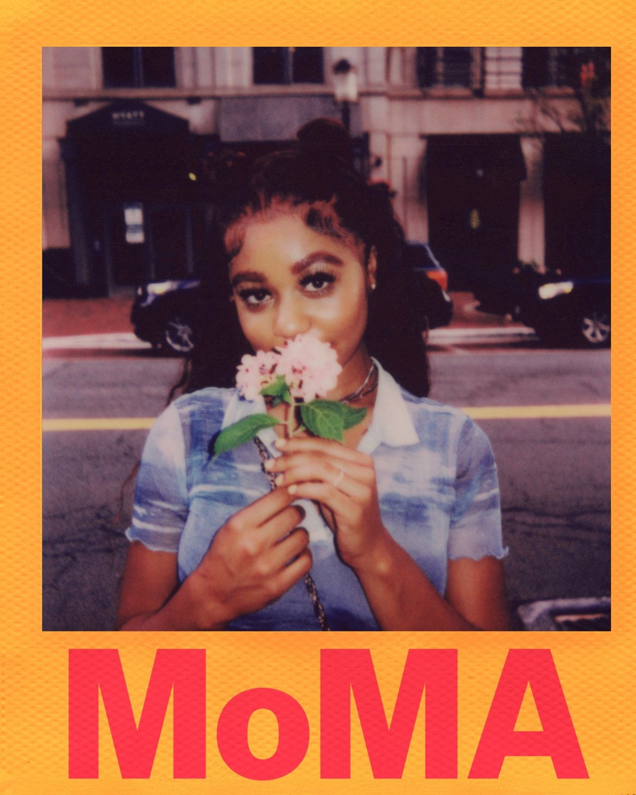 Polaroid et MoMA