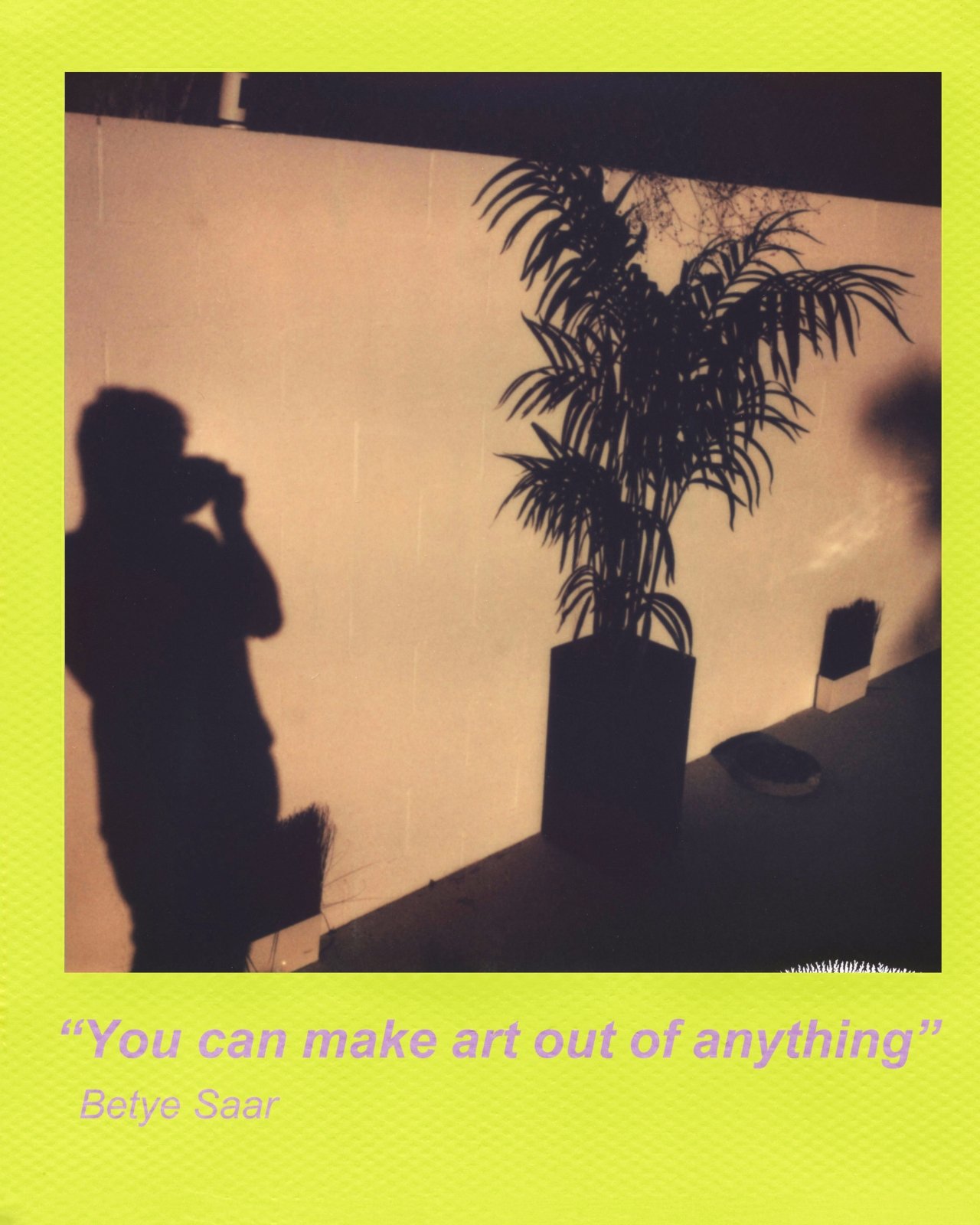 Polaroid et MoMA