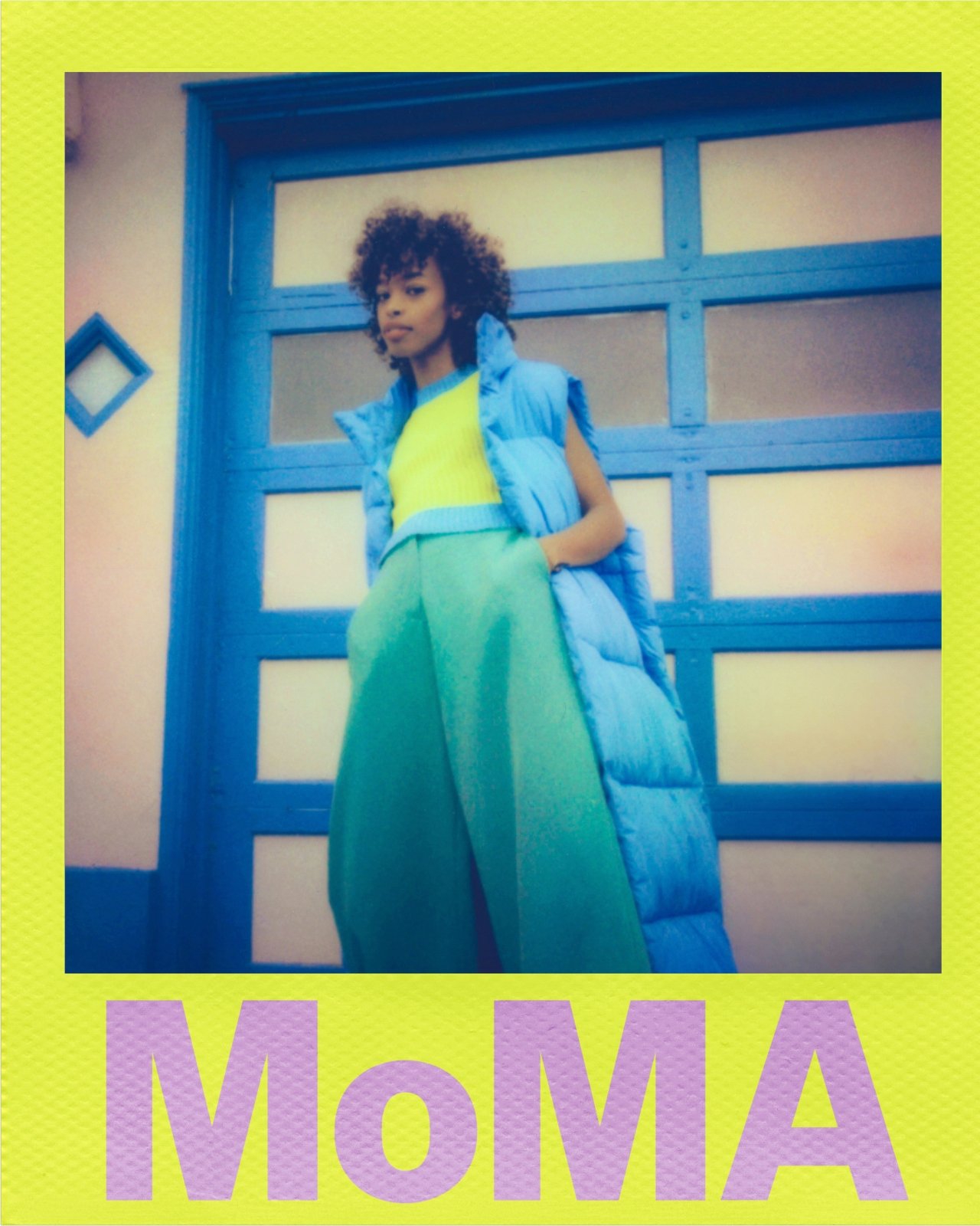 Polaroid et MoMA