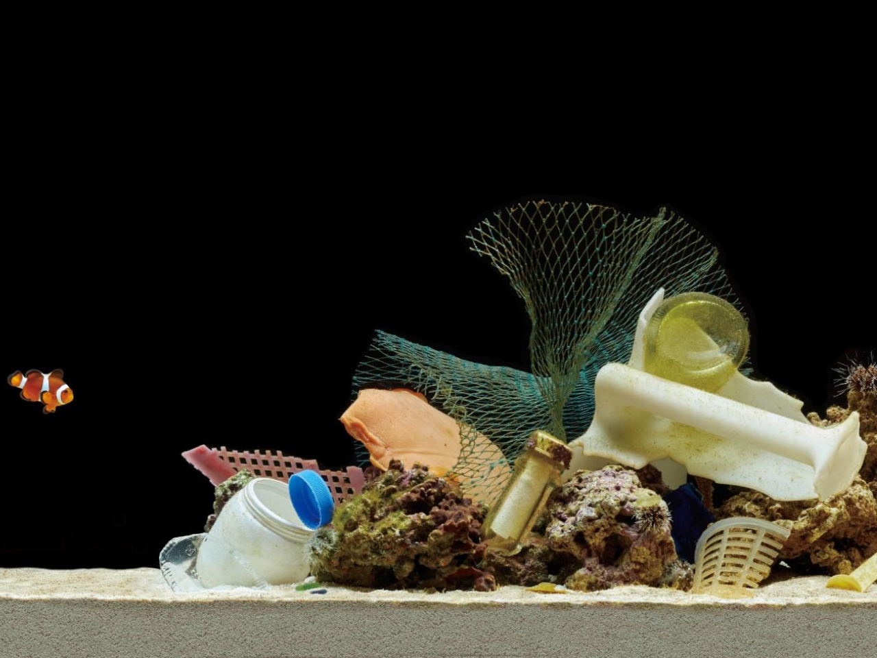 Coraux Menaces Agissons Maintenant Contre la Pollution Marine - plare.