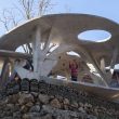 Decouvrez Comment la Bibliotheque de Champignons Fantaisie Transforme un Village - plare.