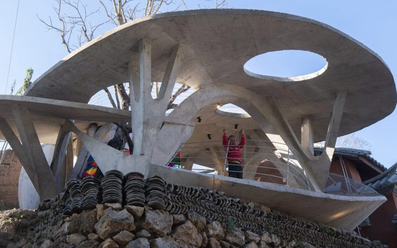 Decouvrez Comment la Bibliotheque de Champignons Fantaisie Transforme un Village - plare.