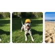 Gemini : l'édition d'images à portée de main pour tous les utilisateurs.