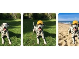 Gemini : l'édition d'images à portée de main pour tous les utilisateurs.