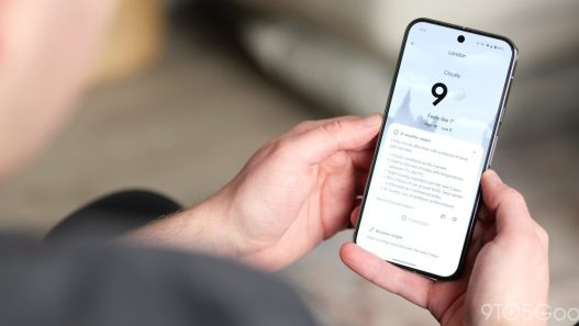 Google lance un tracker de pollen sur Pixel Weather aux États-Unis pour mieux gérer les allergies