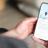 Google lance un tracker de pollen sur Pixel Weather aux États-Unis pour mieux gérer les allergies