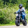 Greenworks 80V STEALTH Electric Mini Bike.webp - plare.