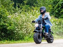 Greenworks 80V STEALTH Electric Mini Bike.webp - plare.