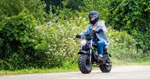 Greenworks 80V STEALTH Electric Mini Bike.webp - plare.
