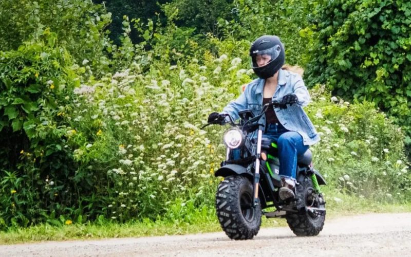 Greenworks 80V STEALTH Electric Mini Bike.webp - plare.
