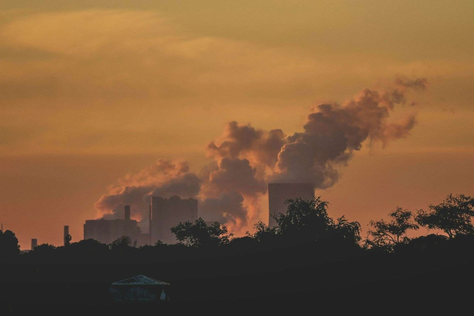 Clés essentielles pour comprendre un écosystème contaminé et ses impacts environnementaux