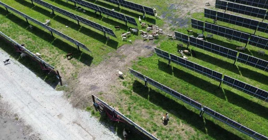 Vaste parc solaire de 1,3 GW en Indiana pour alimenter 200 000 foyers en énergie renouvelable