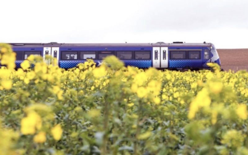 Starlink services debut on ScotRail trains 1000x600 - plare.