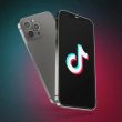 TikTok ban E28093 Supreme Court asked for emergency injunction.webp - plare.