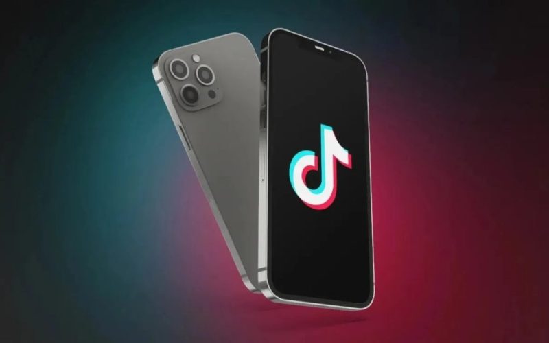 TikTok ban E28093 Supreme Court asked for emergency injunction.webp - plare.