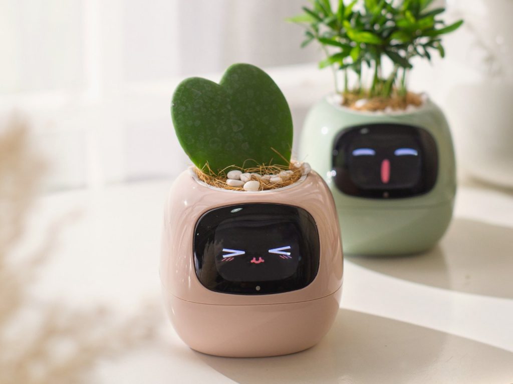 Transformez Votre Plante Verte en Compagnon Unique avec ce Planteur Intelligent!