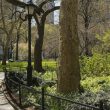 central park path head 1 - plare.