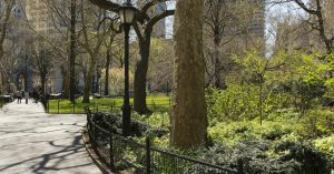 central park path head 1 - plare.