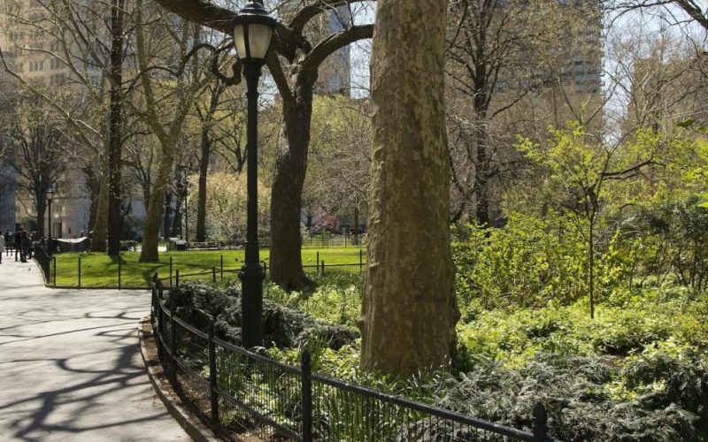 central park path head 1 - plare.