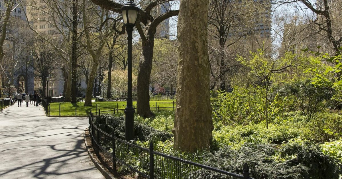 central park path head 1 - plare.