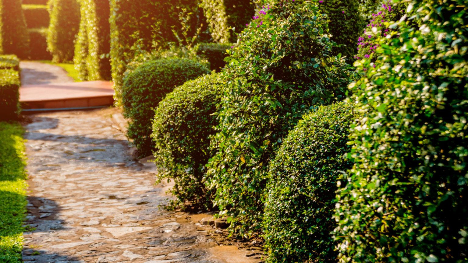 Comment bien aménager ses extérieurs pour profiter de son jardin toute l’année ?