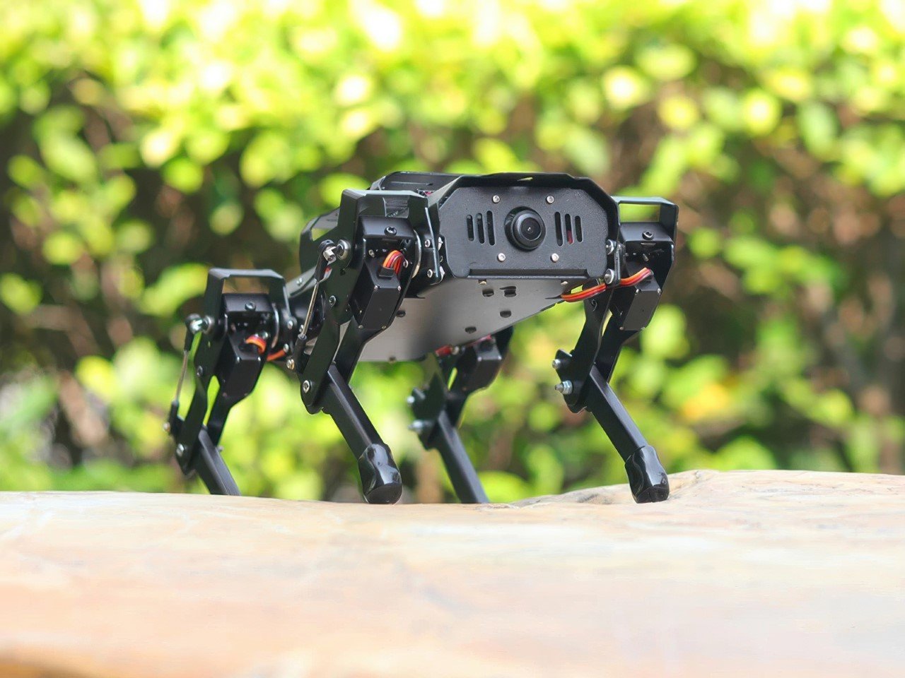 hiwonder puppypi 1 - plare.