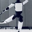 optimus ballet 1000x600 - plare.