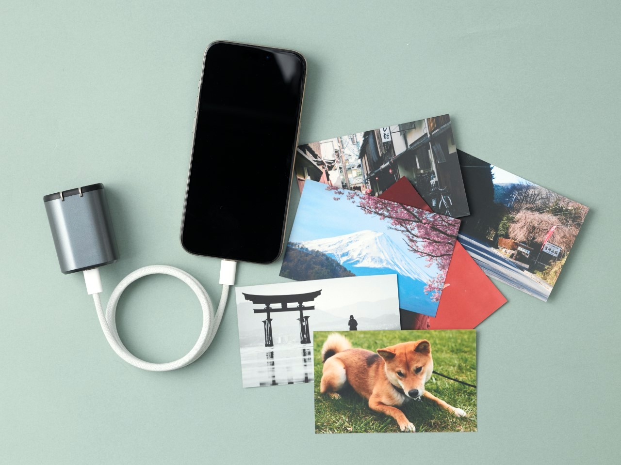 photopower backup charger 1 - plare.
