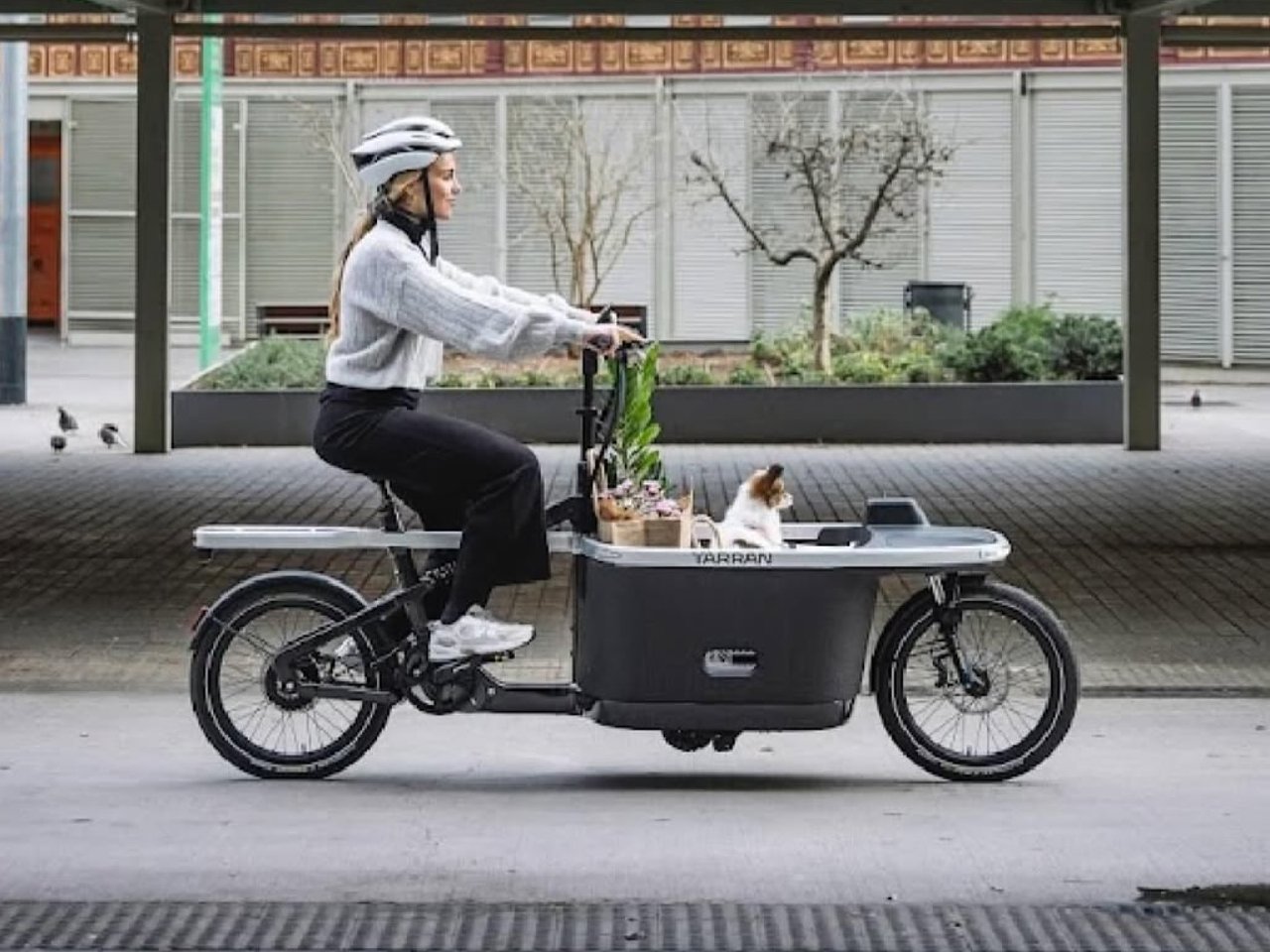 tarran t1 electric cargo bike 02 - plare.