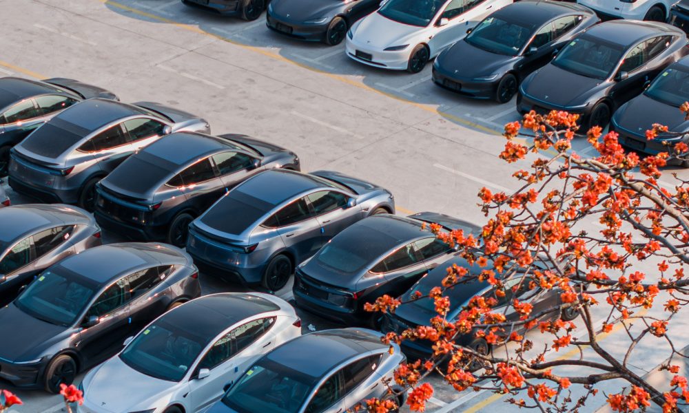 tesla fleet model 3 model y logo - plare.