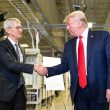 tim cook trump - plare.