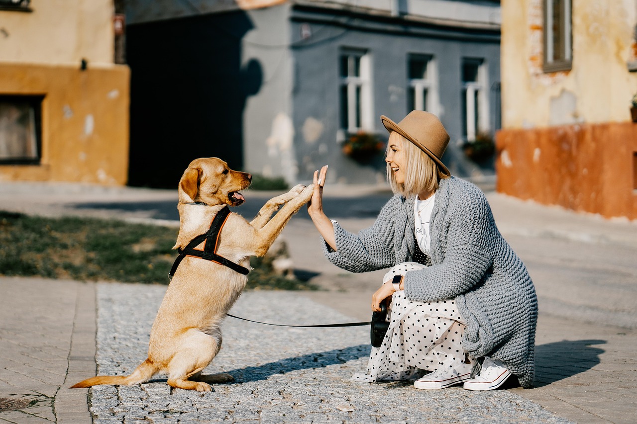 1 ciudades perros - plare.