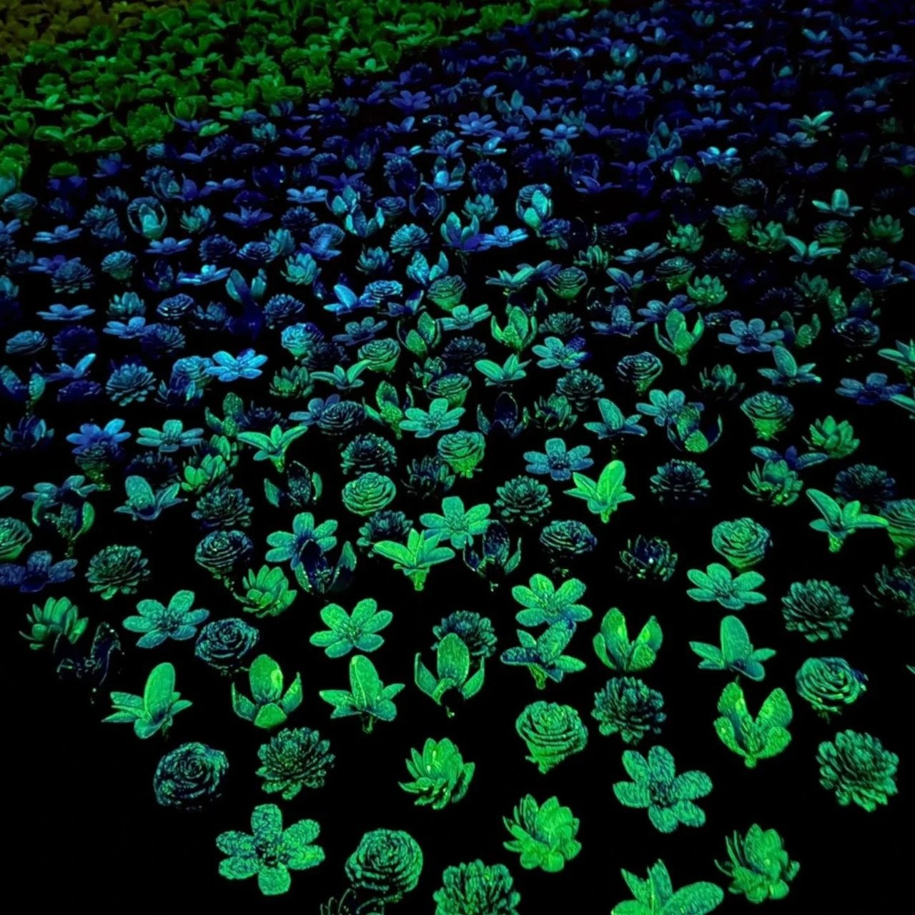 1749681600 515 Decouvrez comment des fleurs imprimees en 3D revolutionnent la conservation - plare.