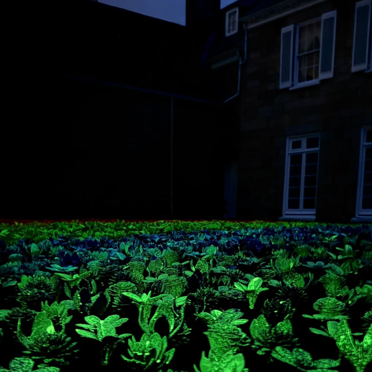1749681600 628 Decouvrez comment des fleurs imprimees en 3D revolutionnent la conservation - plare.
