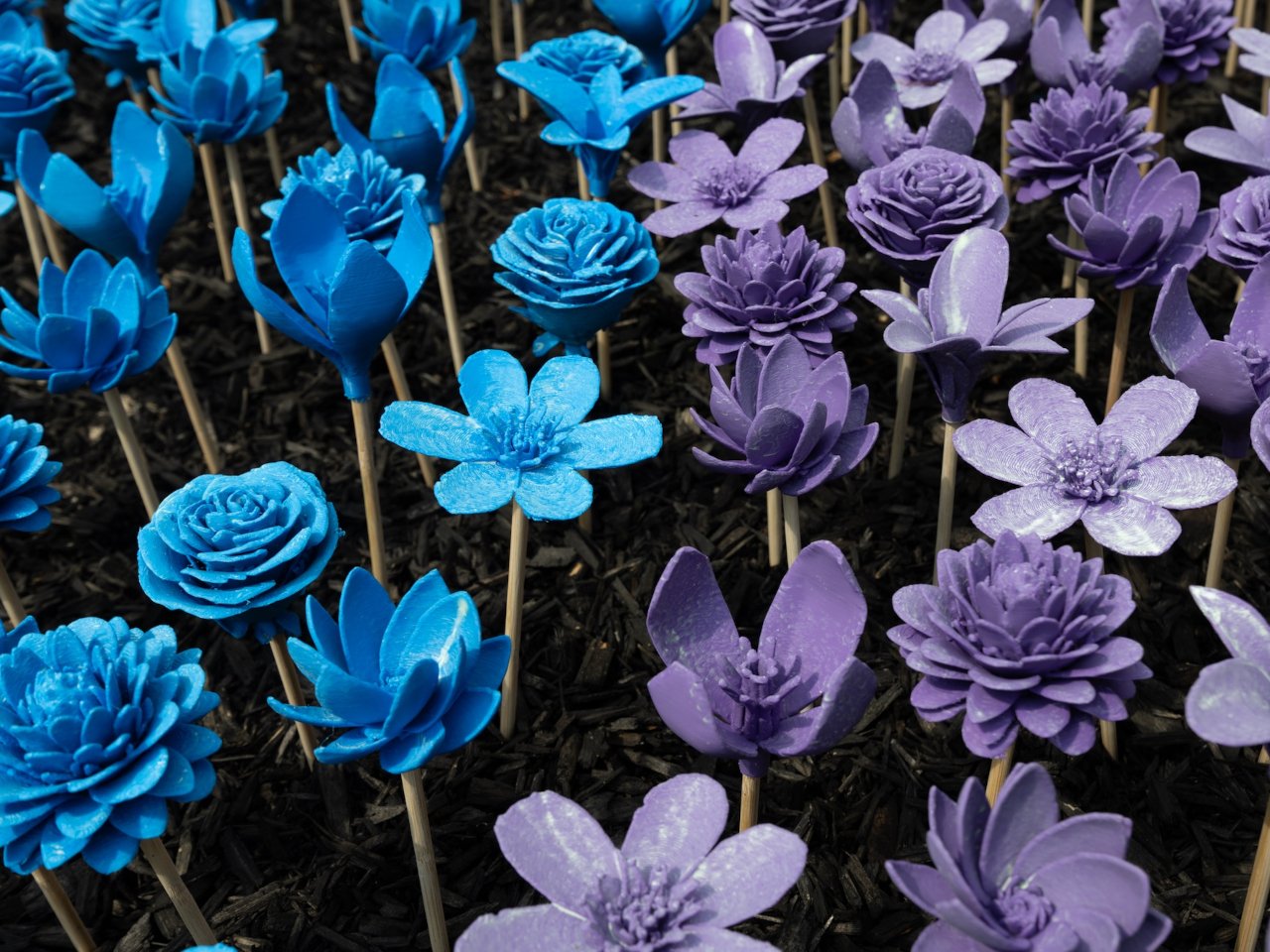 1749681600 854 Decouvrez comment des fleurs imprimees en 3D revolutionnent la conservation - plare.