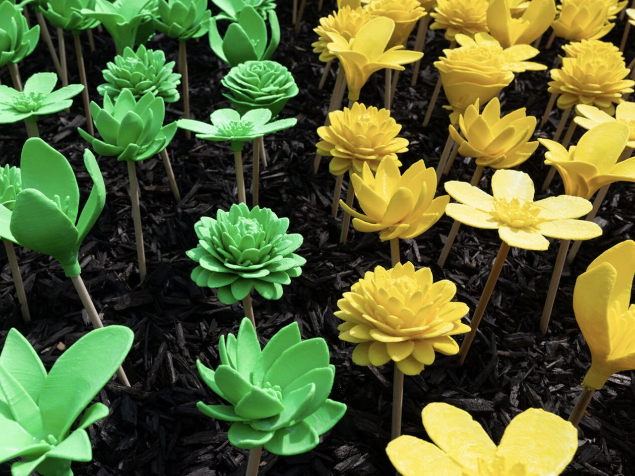 1749681600 871 Decouvrez comment des fleurs imprimees en 3D revolutionnent la conservation - plare.