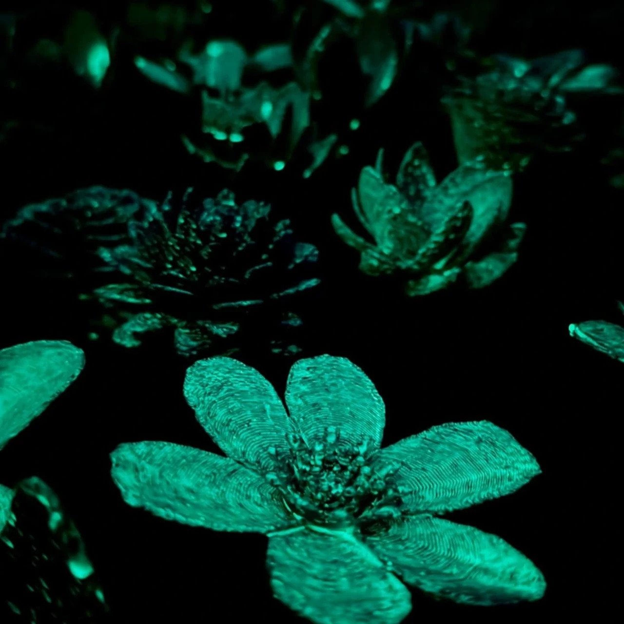 1749681600 934 Decouvrez comment des fleurs imprimees en 3D revolutionnent la conservation - plare.