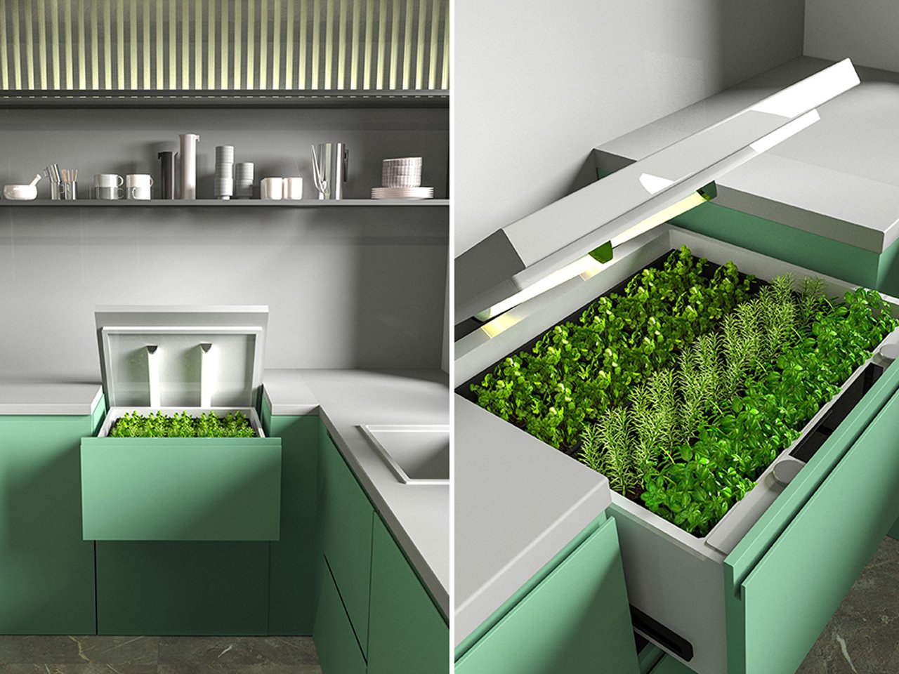 1750001861 798 Decouvrez les 5 Etapes Essentielles pour Cultiver des Microgreens Nutriments - plare.