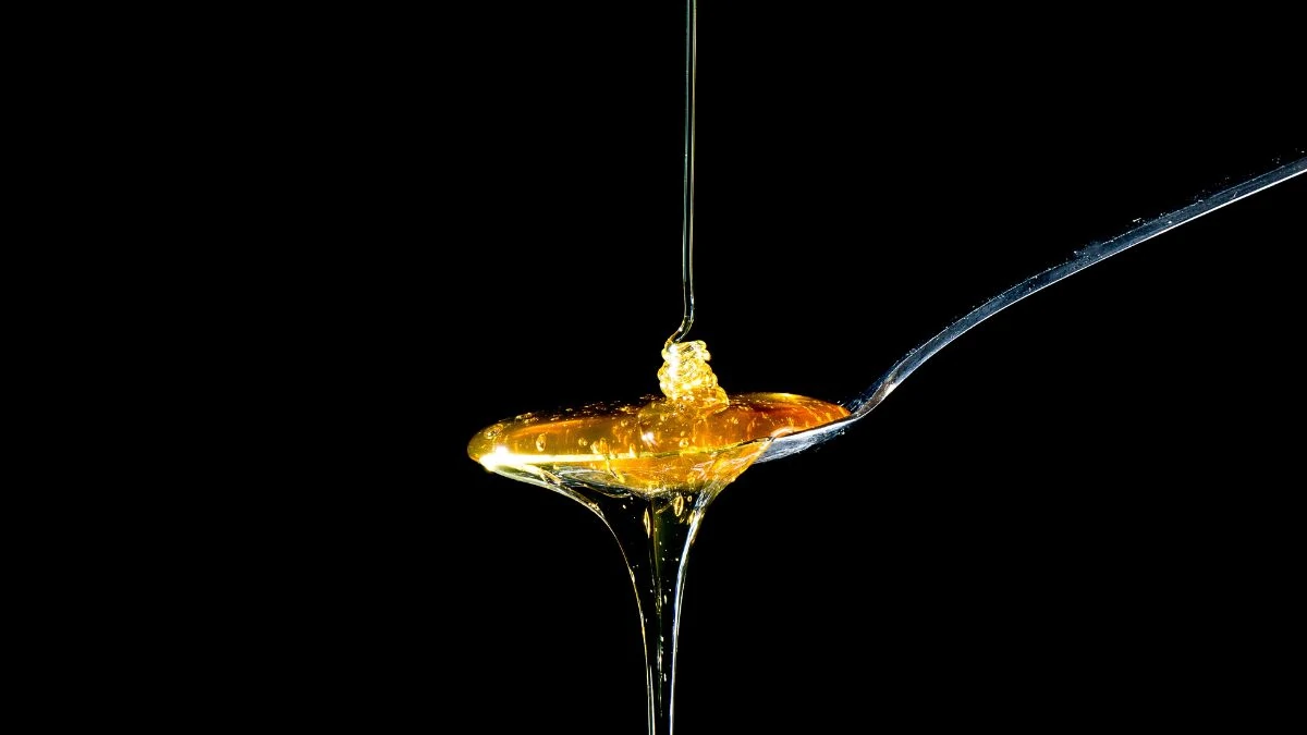 Apiculture écologique et colmenas