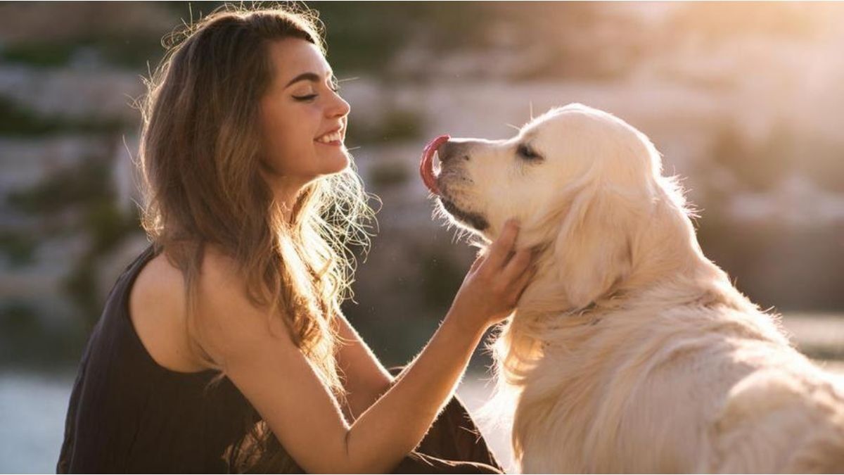 Homme et chien regardant l'horizon