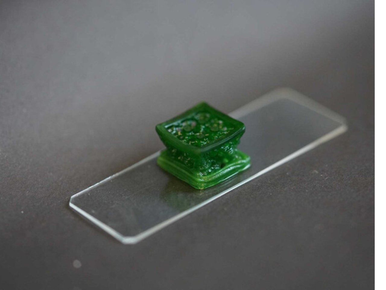 1750786525 451 Decouverte revolutionnaire des scientifiques concoivent un materiau vivant capable - plare.