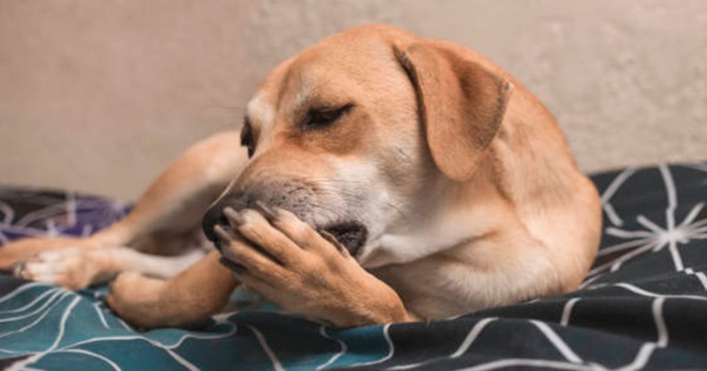 Améliorez votre qualité de vie : symptômes, causes et solutions à connaître