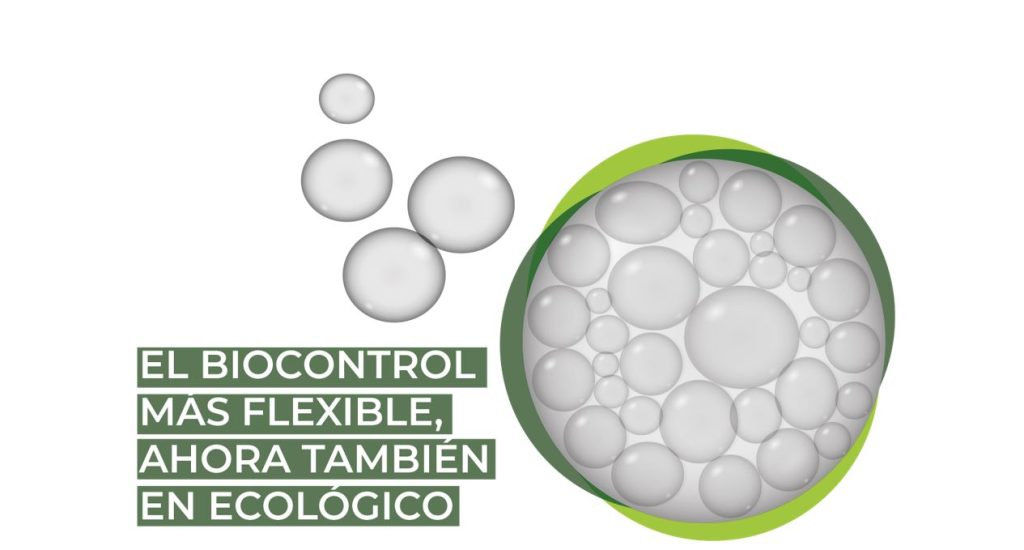 Andalousie renforce son agriculture avec la nouvelle loi sur la production écologique