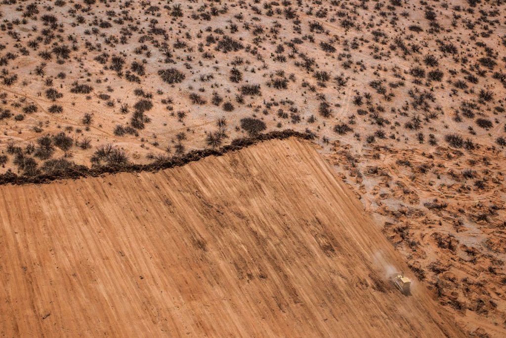 État des lieux et enjeux de la conservation : défis environnementaux à relever