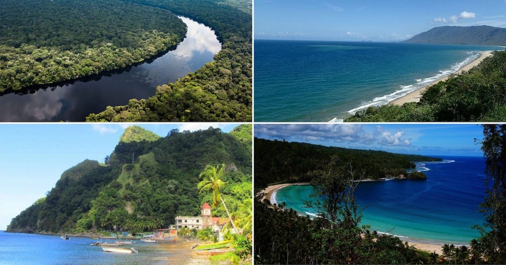 Biodiversité fascinante, conservation essentielle et aventures uniques en pleine nature