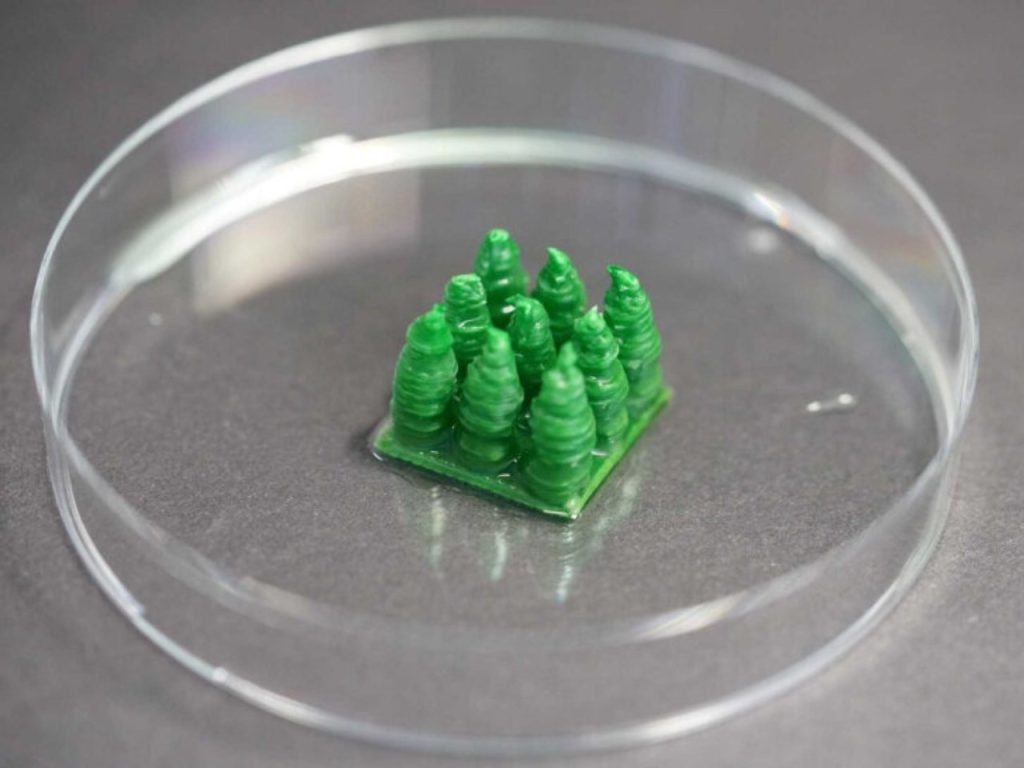 Découverte révolutionnaire : des scientifiques conçoivent un matériau vivant capable d’absorber le CO2 !