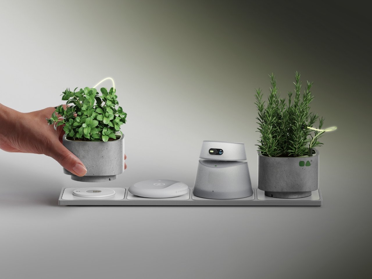 Decouvrez Oasis Le Pot de Plante Intelligent Qui Ameliore - plare.