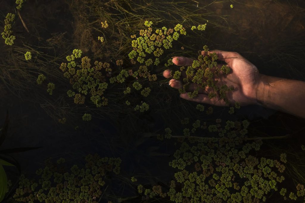 Espagne dynamise sa transition écologique grâce à l’éducation, l’énergie renouvelable et l’innovation industrielle